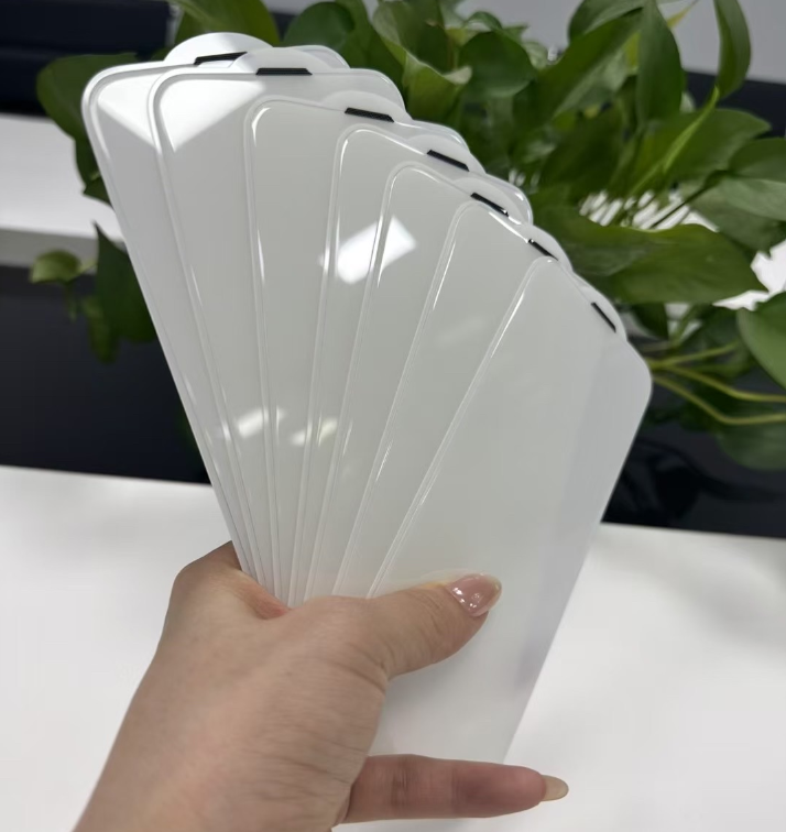 RhinoGuards Borderless Glass