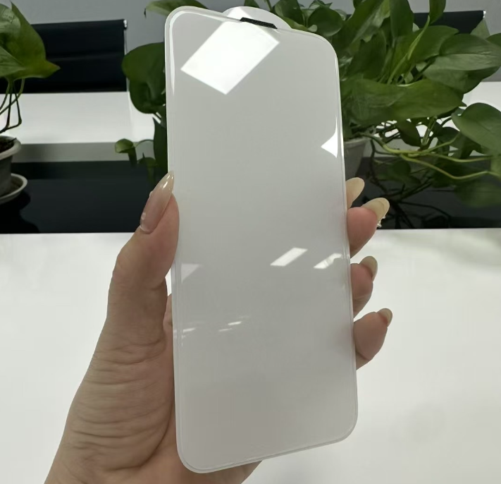 RhinoGuards Borderless Glass
